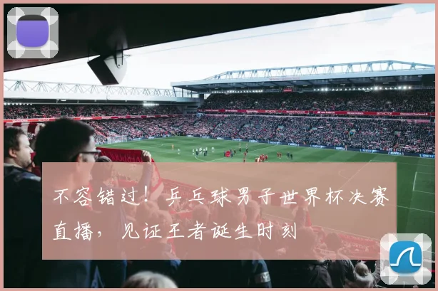 不容错过！乒乓球男子世界杯决赛直播，见证王者诞生时刻