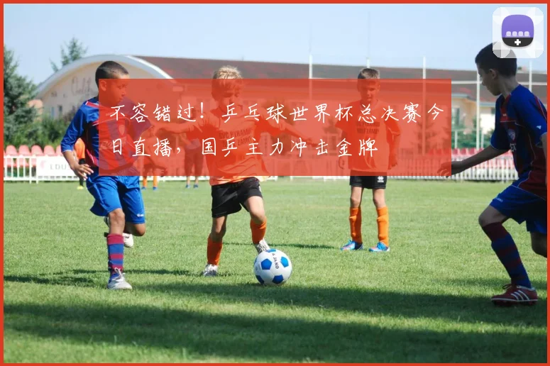 不容错过！乒乓球世界杯总决赛今日直播，国乒主力冲击金牌