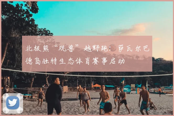 北极熊“观兽”越野跑：萨瓦尔巴德岛独特生态体育赛事启动