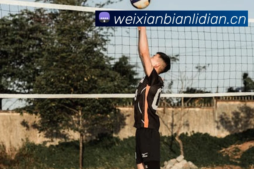 华体网app登录入口平台生态图